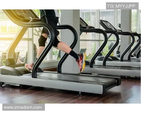 知名健身器材品牌及其市场影响力分析