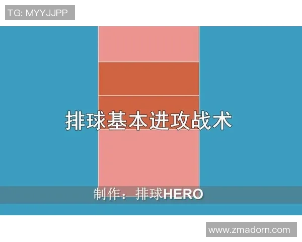 深圳排球队整体压制战术解析与实战应用探讨